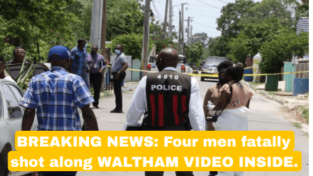 Fatal Shooting in Waltham, Jamaica Leaves 4 Men Dead