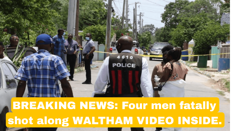 Fatal Shooting in Waltham, Jamaica Leaves 4 Men Dead