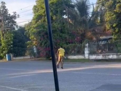 Woman Who Filmed Teen Hit by Vehicle Says He Reportedly Had Suicidal Intentions