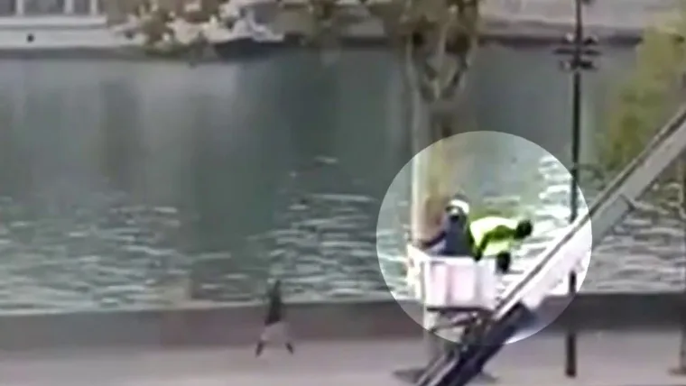 Thieves Caught on Camera Escaping With France’s Stolen Crown Jewels