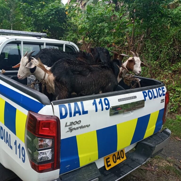 Clarendon Policeman Among Four Arrested for Reportedly Stealing Goats