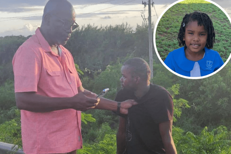 Abducted 6-Year-Old Girl Says Suspect Carried Her Through Bushes